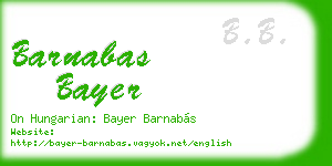 barnabas bayer business card