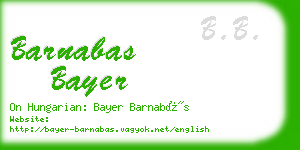 barnabas bayer business card